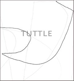 The Art Of Richard Tuttle