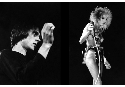 The Beautiful & The Damned: Punk Photographs by Ann Summa