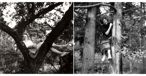 The deceptive simplicity of Women in Trees