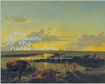 The Discovery of the Netherlands