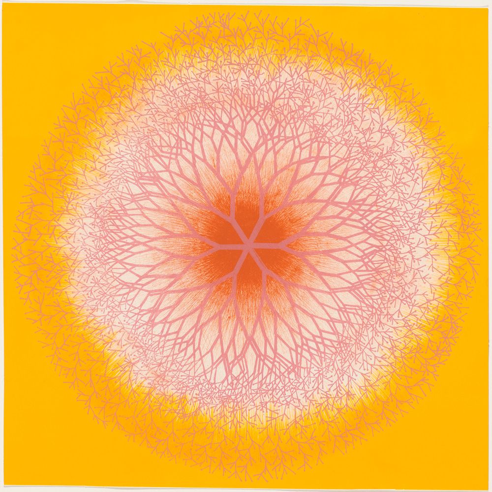 "Desert Plant" (1965),