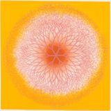 The experimental 1965 Tamarind Lithography Workshop prints of Ruth Asawa