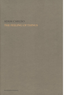 The Feeling of Things By Adam Caruso