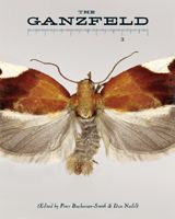 The Ganzfeld No. 3
