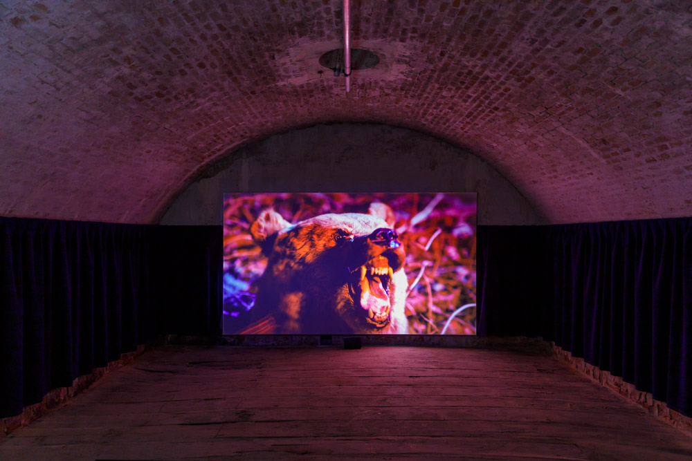 The Gatherers ARTBOOK | D.A.P. 2025 Catalog Books Exhibition