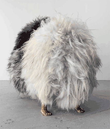 Hairy Belafonte Dromedary (2013) is reproduced from