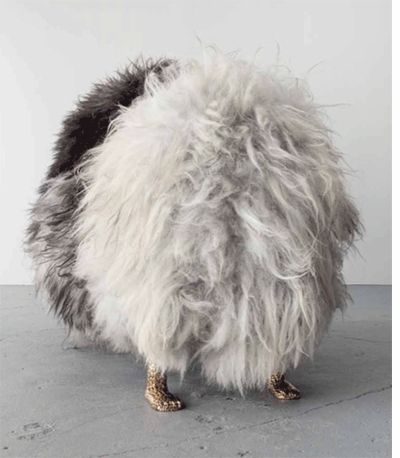 The Haas Brothers: "Hairy Belafonte Dromedary" (2013)