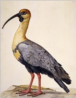 The Malaspina Expedition