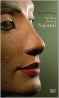 The Many Faces of Nefertiti