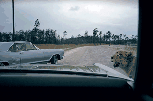 The Open Road: Photography and the American Roadtrip