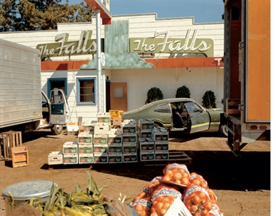 The Open Road: Stephen Shore