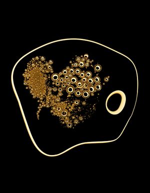 The Photographic Work of Robin Broadbent