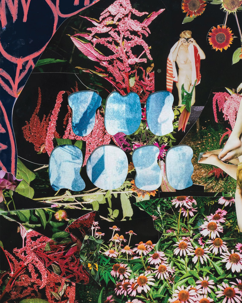 The Rose A Circular Genealogy of Collage ARTBOOK | D.A.P. 2025