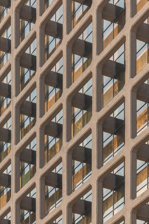 The Um Slaim School: An Architecture of Connection