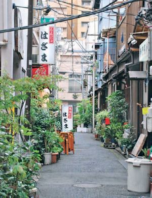 The Vertical Village
