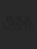 Theaster Gates: Black Chapel