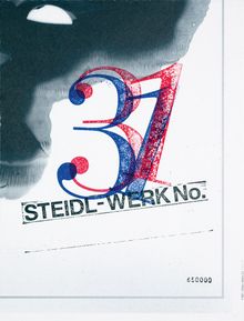 Theseus Chan: SteidlWerk No. 31