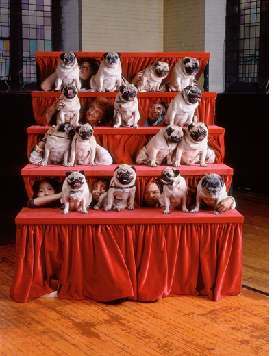 This week, we gather!