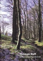 Thomas Ruff: Schwarzwald Landschaft