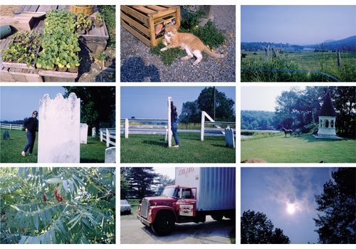 Time & Space Limited presents "Memory as Various: Bernadette Mayer's 'Memory'"