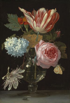 Timeless Splendor