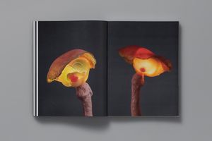 To Exalt the Ephemeral: Alina Szapocznikow, 19621972