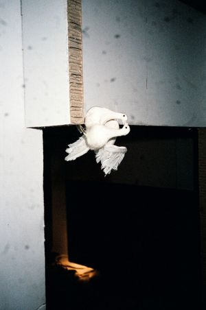 Tobias Kruse: Material