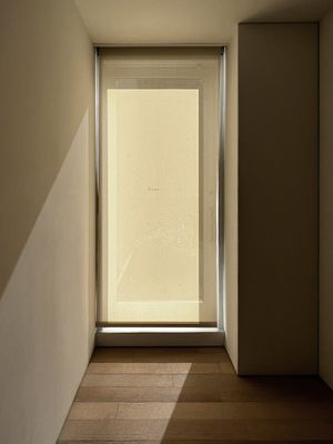Tod Lippy: Private