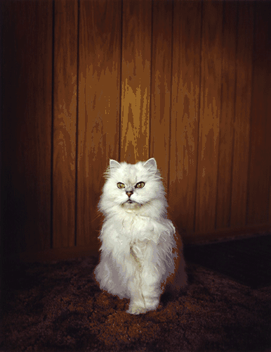 Todd Hido on Landscapes, Interiors, and The Nude