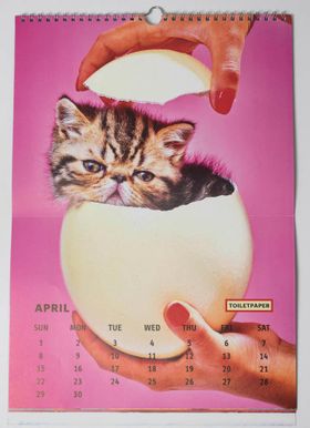 Toilet Paper Calendar 2018