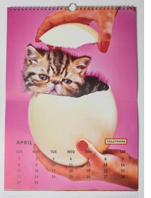 Toilet Paper Calendar 2018