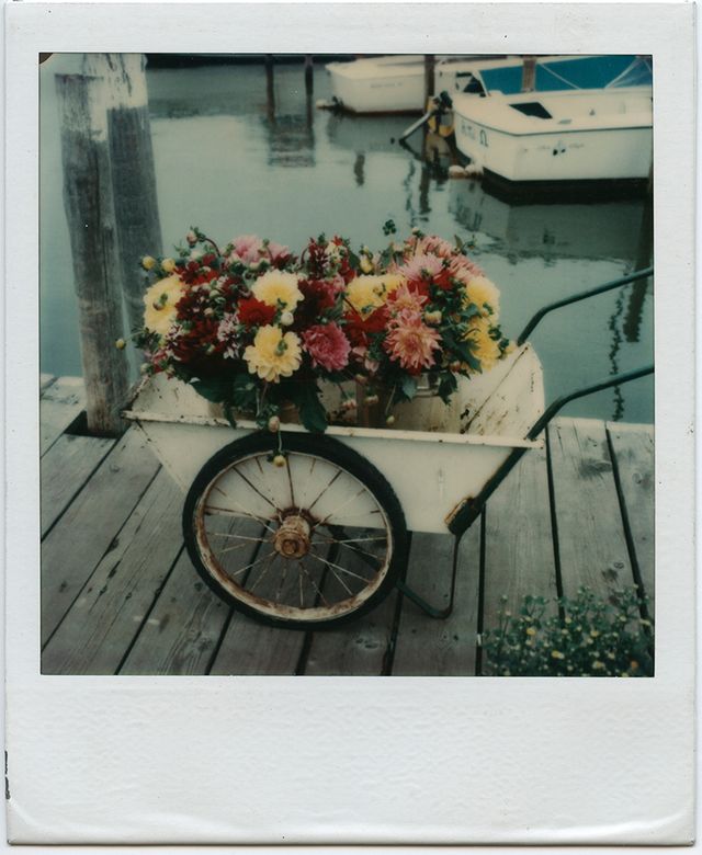 Tom Bianchi's 'Fire Island Pines' is eternally magical