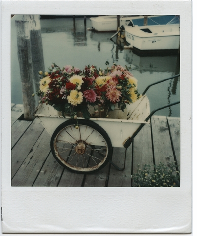 Tom Bianchi's 'Fire Island Pines' is eternally magical
