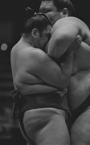 Tomasz Gudzowaty: Sumo