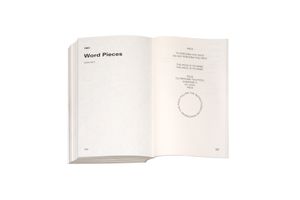 Tony Conrad: Writings