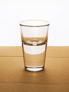 Tony Matelli: Glass of Water