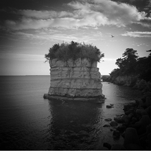 Toru Komatsu: A Distant Shore