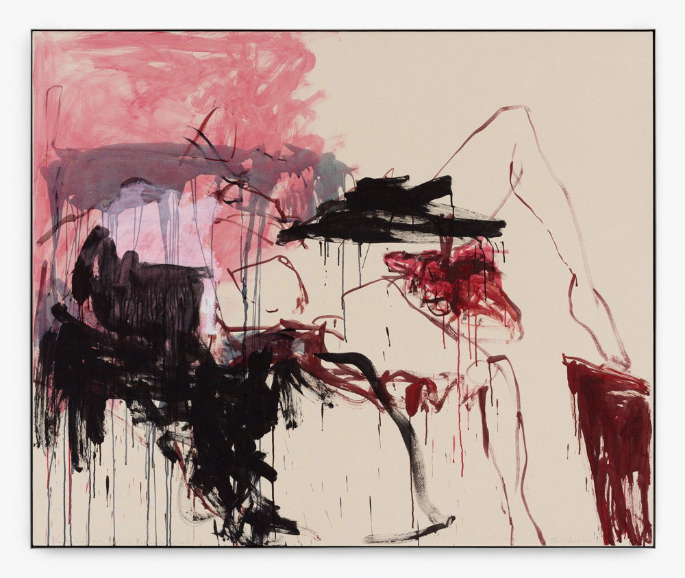 Tracey Emin Sex and Solitude ARTBOOK | D.A.P. 2026 Catalog Books