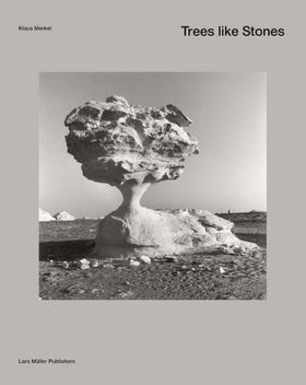 Trees like Stones
