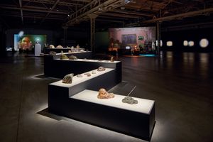 Trisha Baga: The Eye, the Eye and the Ear