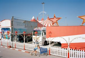 Txema Salvans: Sunday Morning