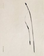 Txema Yeste: Needles