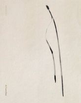 Txema Yeste: Needles