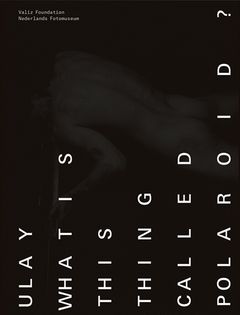 Ulay: What Is This Thing Called Polaroid?