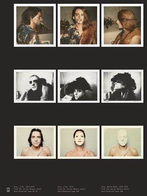 Ulay: What Is This Thing Called Polaroid?