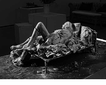 Urs Fischer & Georg Herold: Necrophonia