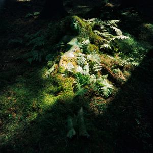 Lehndorff & Trlzsch: The Seen and the Unseen