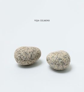 Vija Celmins