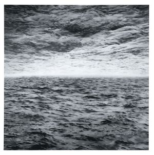 Vija Celmins & Gerhard Richter: Double Vision