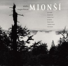 Virgin Forest Mion?
